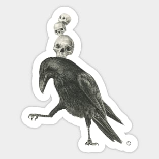 The Dance Sticker